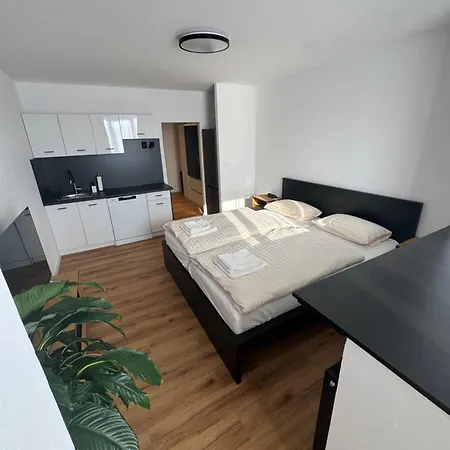 Apartment Modern Near Center